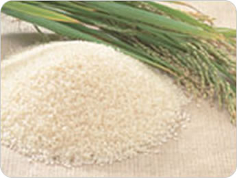 お米のタンパク質でお肌の糖化を防ぎハリを与える